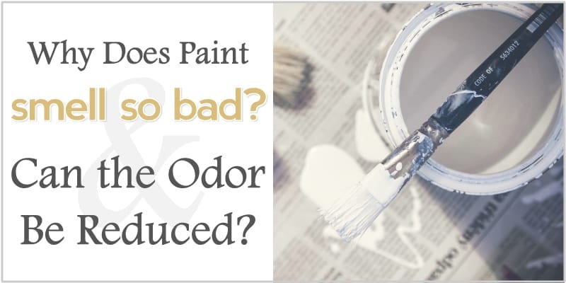 why-does-paint-smell-so-bad-and-can-the-odor-be-reduced-the-shadey